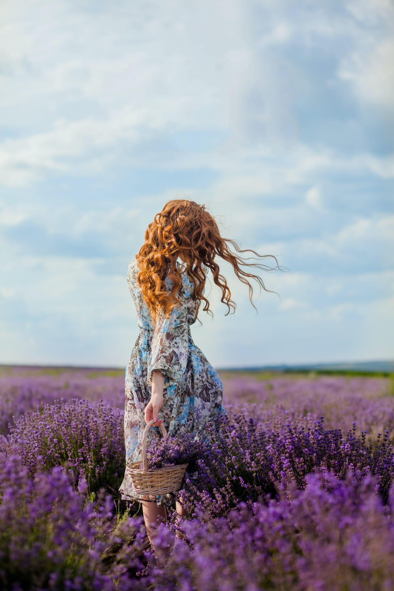 Imagen De Whatsapp 2024 07 08 A Las 17.13.43 C9bfa415